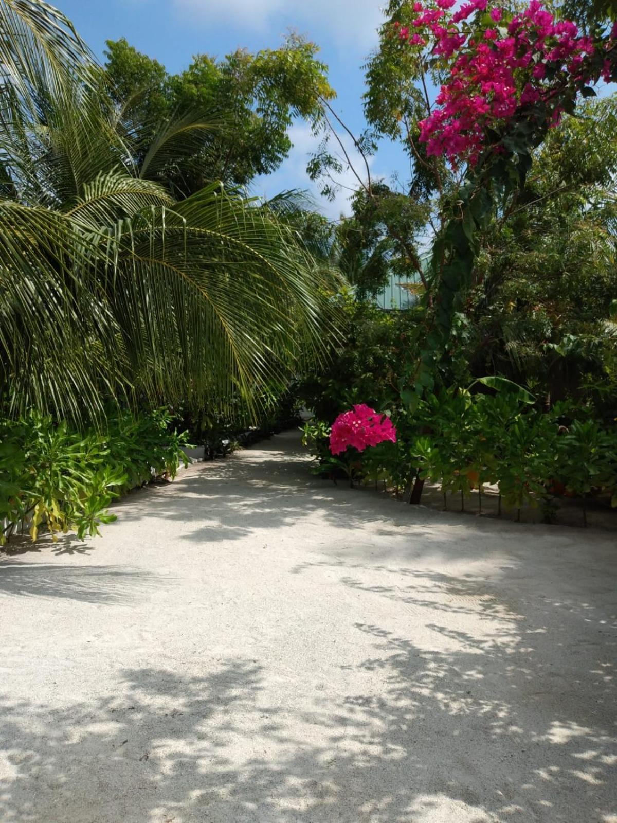 Sunrise Inn Thoddoo Extérieur photo